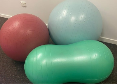 Resource Spotlight: Exercise Balls
