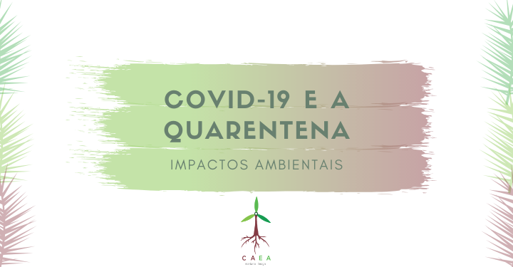 COVID-19 e a Quarentena: impactos ambientais
