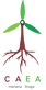 logo CAEA 2018.png