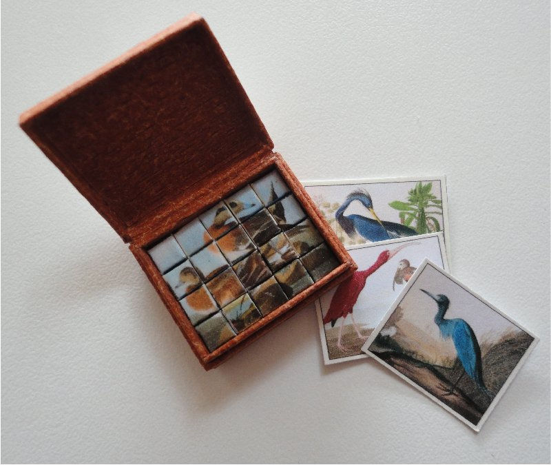 Boîte de 20 cubes Audubon
