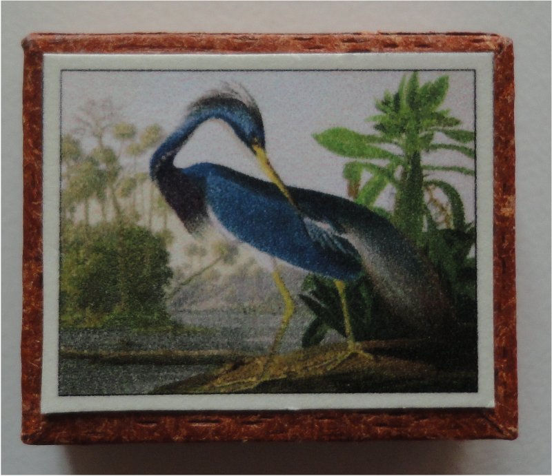 Boîte de 20 cubes Audubon