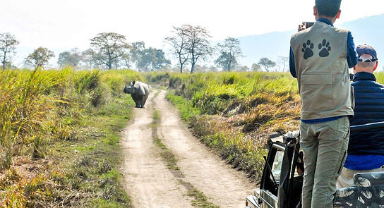 Jeep-Safari-Kaziranga-Assam