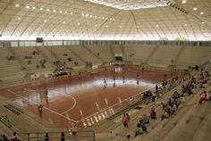 Stadium or sports center with wide-span steel roofing