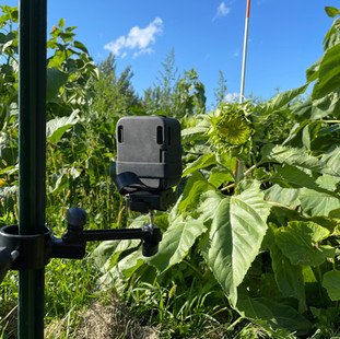 Bracket Monster with Quick Release.