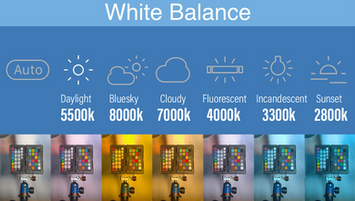 What? White Balance. It's a feature within the Afidus App.