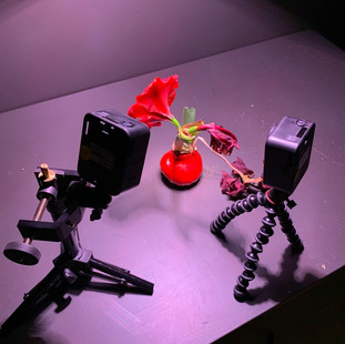 Interior studio tripod setup