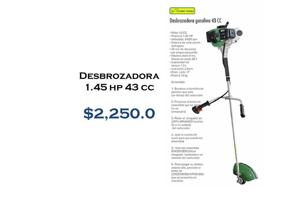 Imagen5