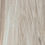 Miniatura: SAUCO NATURAL 24X95