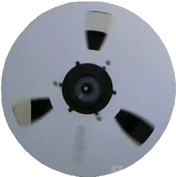 bobina sx 2.gif
