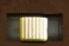 back-e-next ritagliata(1)-2.gif