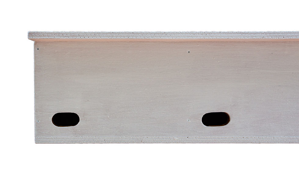 Thumbnail: Swift Box (colony of six)