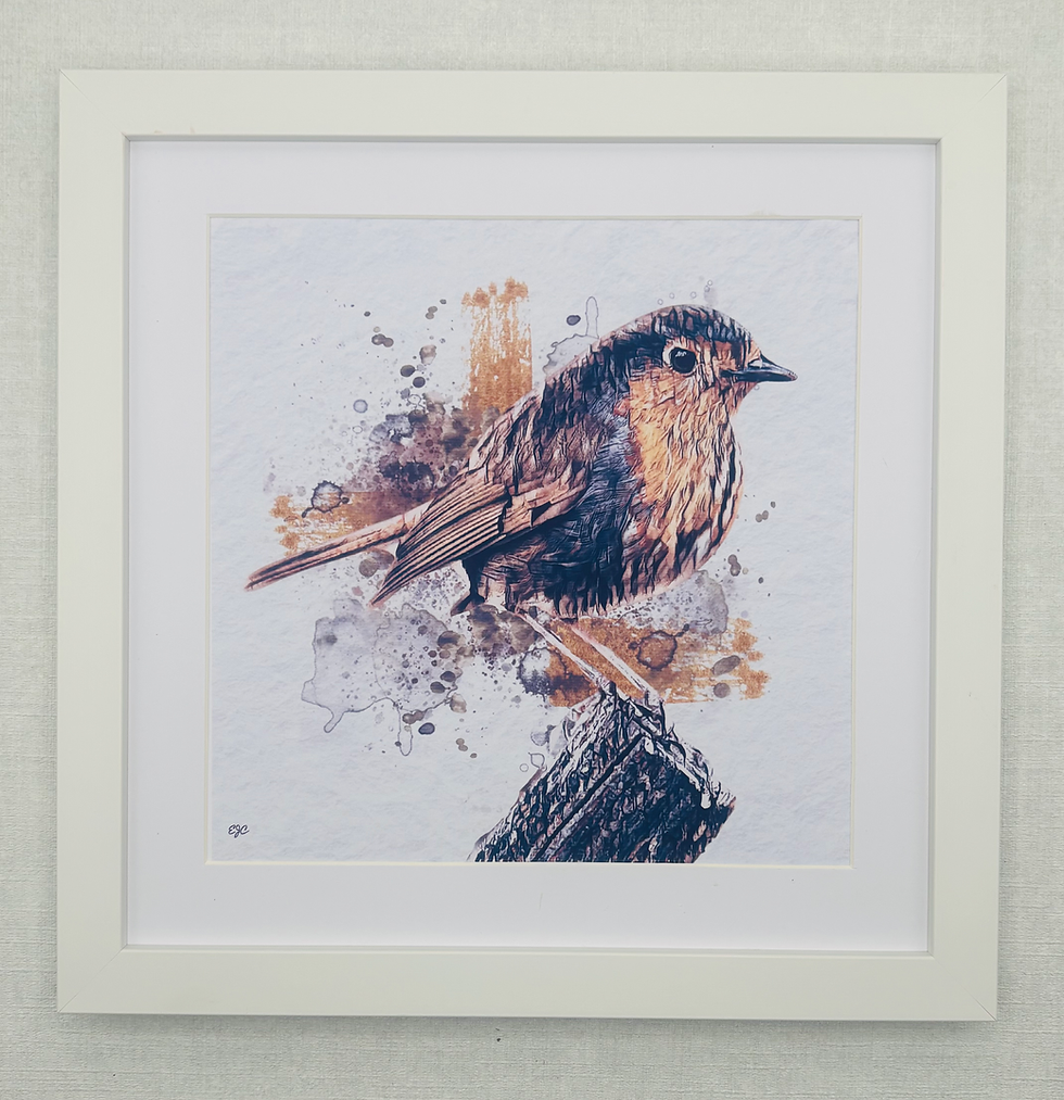 Thumbnail: Birds Collection 1- Robin