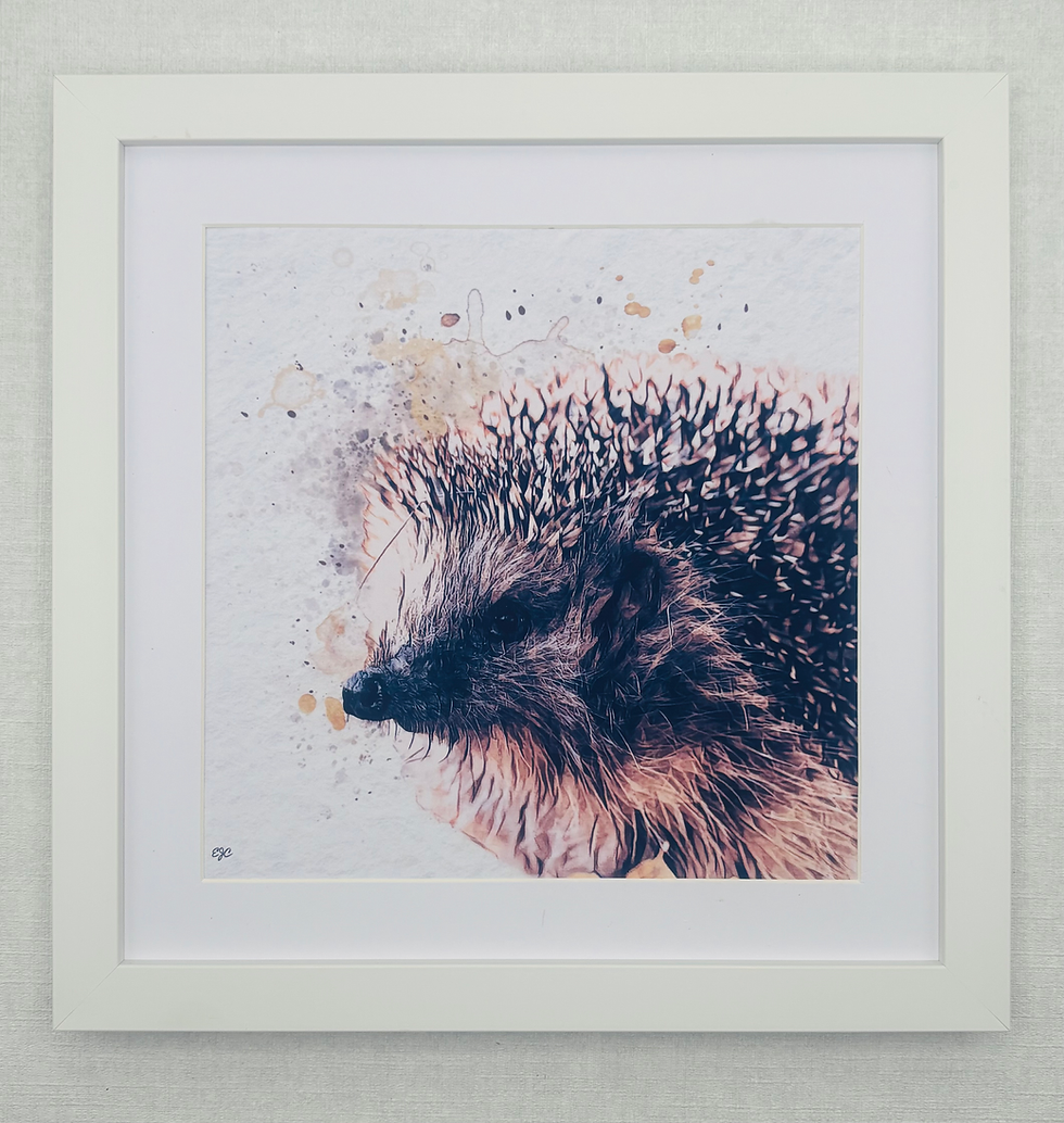 Thumbnail: Wildlife Collection 4- Hedgehog