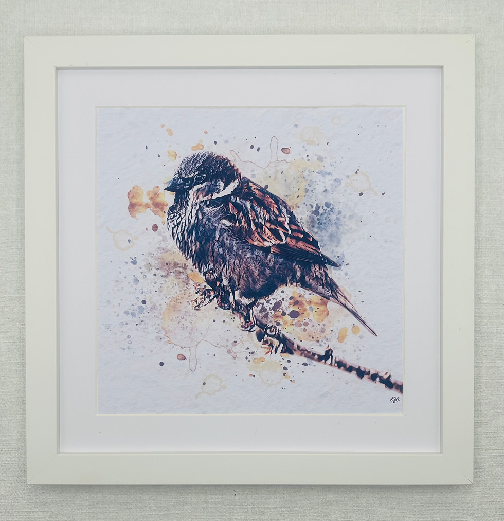 Thumbnail: Birds Collection 2- Sparrow