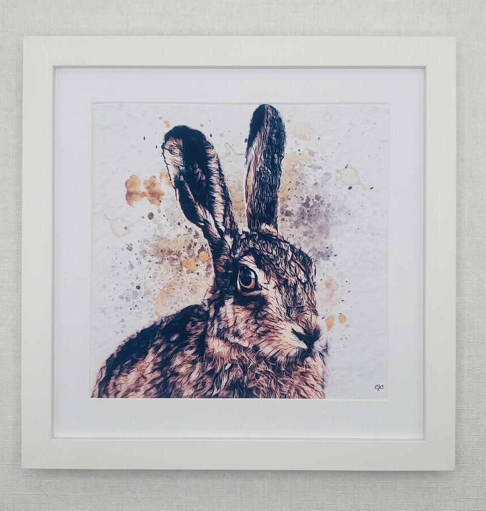 Thumbnail: Wildlife Collection 4- Hare