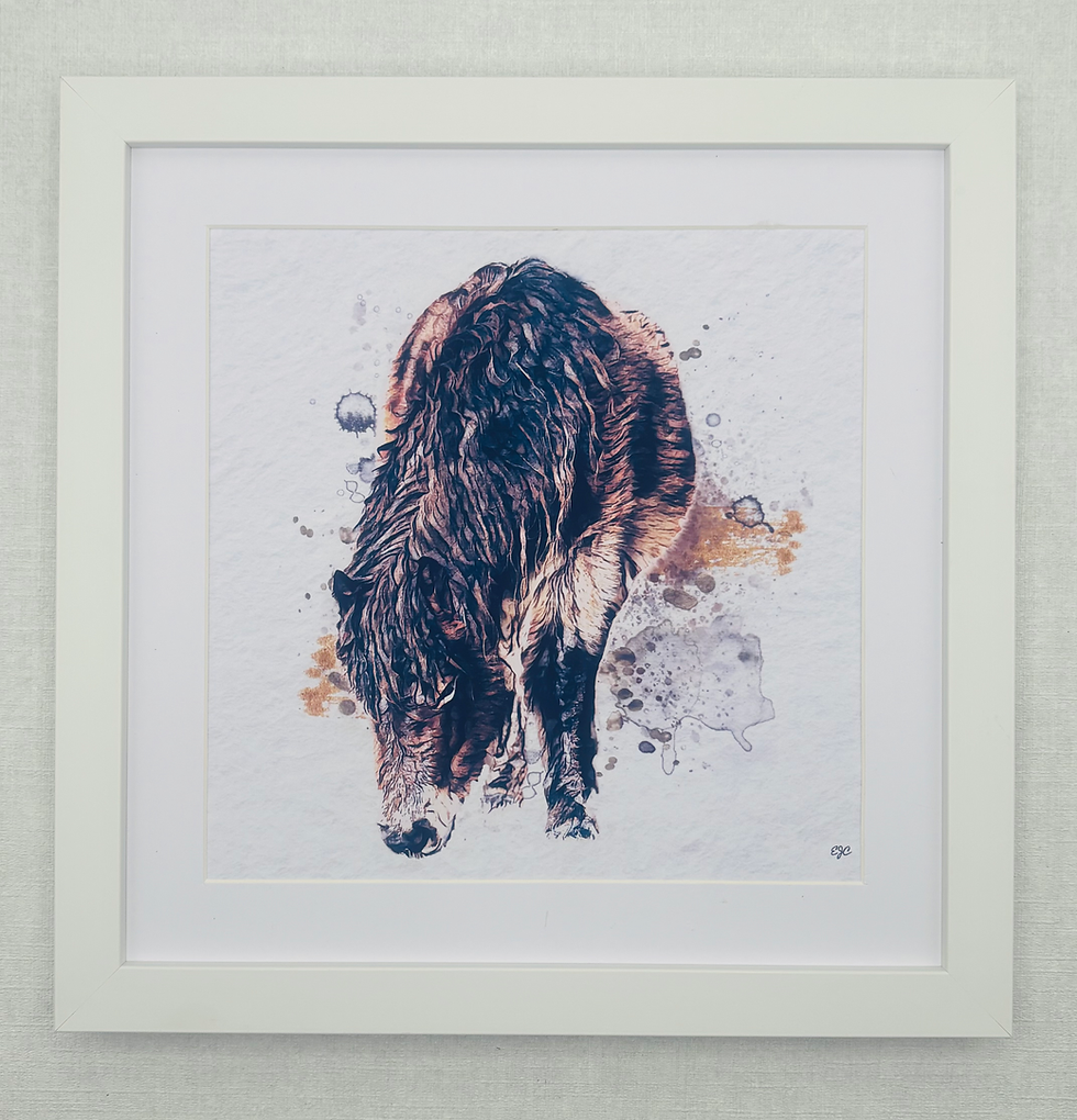 Thumbnail: Wildlife Collection 3- Pony