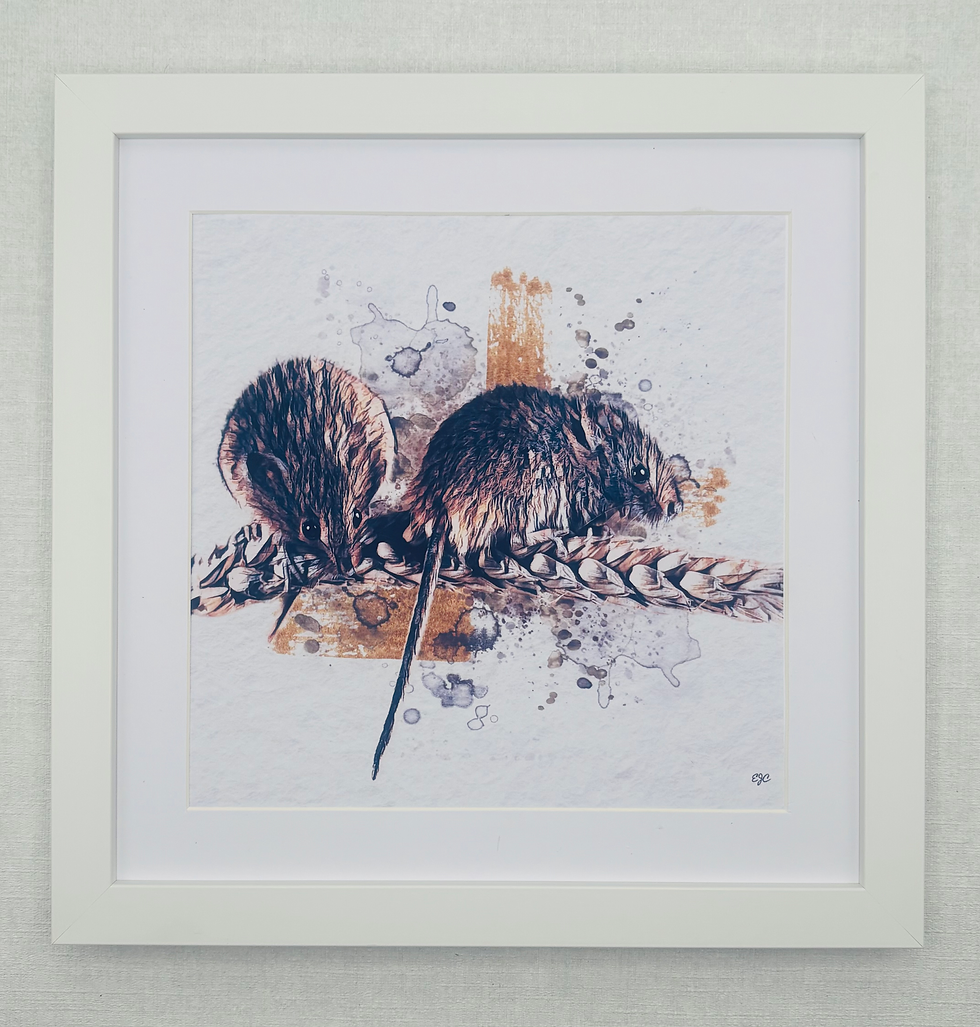 Thumbnail: Wildlife Collection 3- Mice