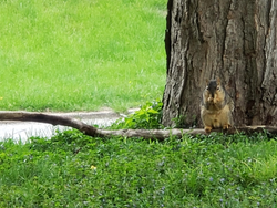 I think my neighbors deserve a better show than Wheel of Fortune.