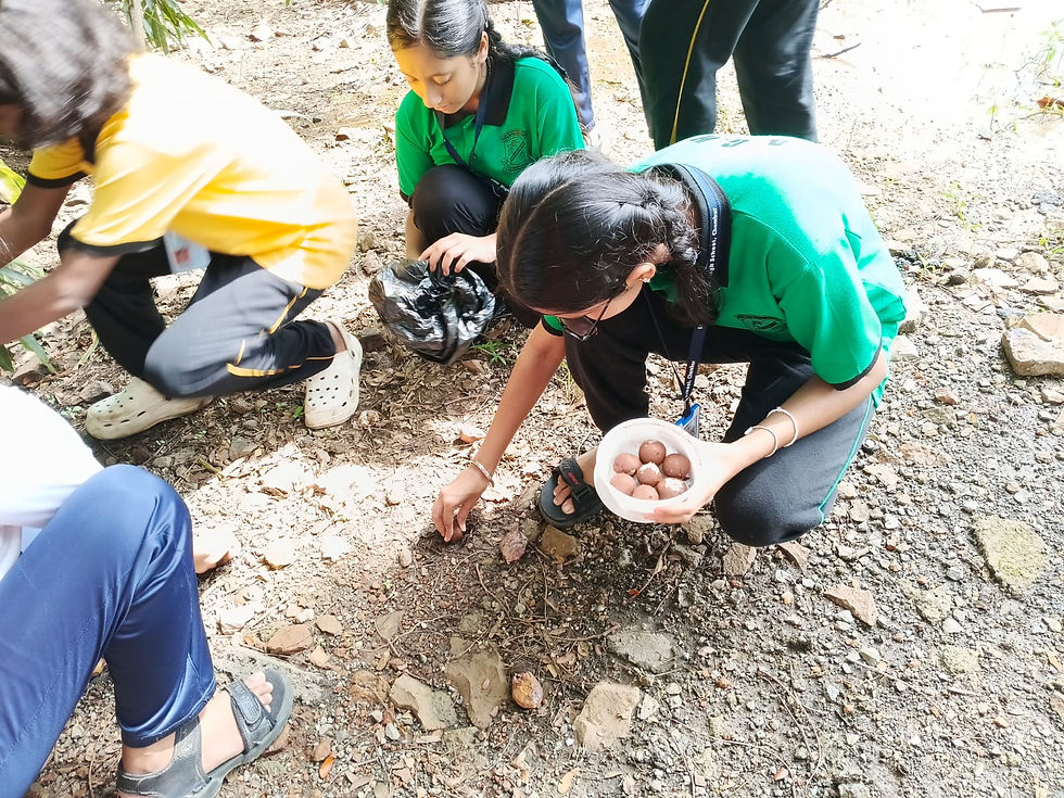 field trip seed ball project