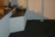 DSC_0038.jpeg