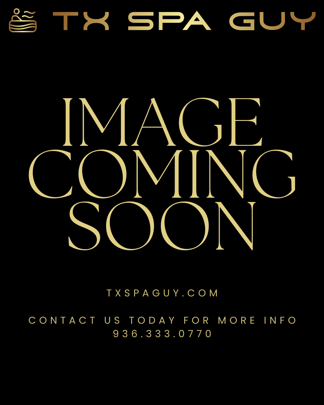 Master Spas Challenger 18D Pro Swim Spa