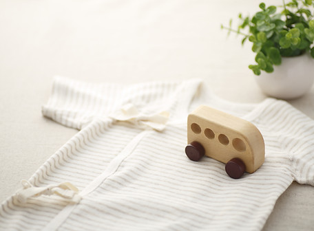 Toy and Onesie