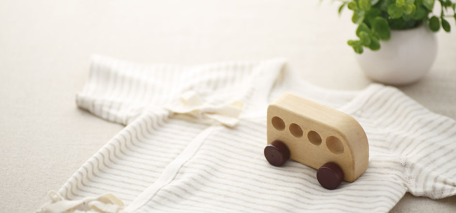 Toy and Onesie