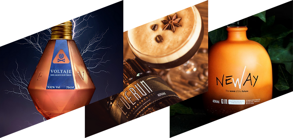 GS PORTFOLIO BANNER