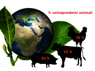 PETFOOD: COSA SAPPIAMO DEI SOTTOPRODOTTI ANIMALI?