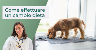 Come effettuare un CAMBIO DIETA