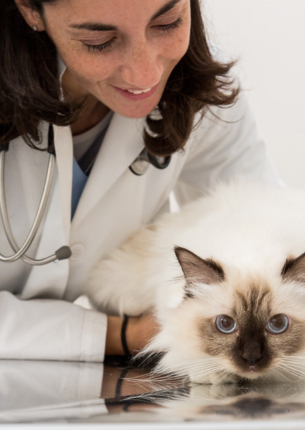 BarbaraToniniVet153 L.jpg