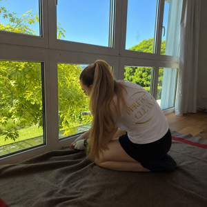 Komplexe Fenster- und Rollladenreinigung