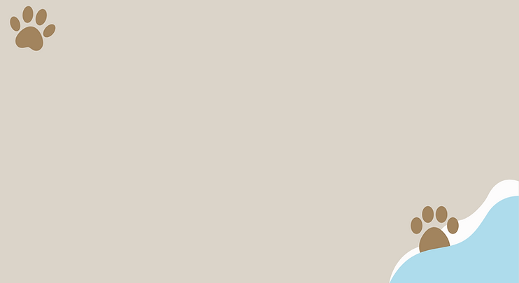 Untitled design-3.png