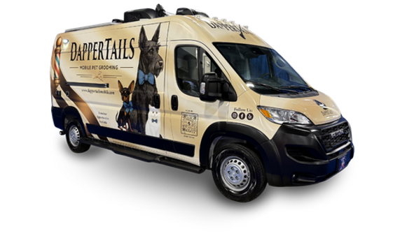 Dappertails Van