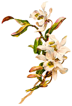 pngwing.com (1).png