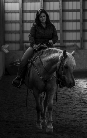 Horse photography near me in Bonnyville Alberta for timeless barn and pasture portraits