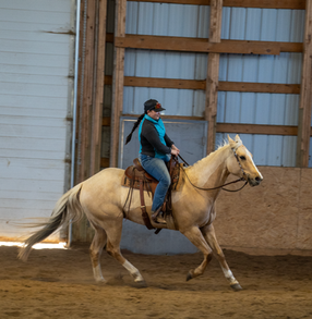 Luxury equine portrait session in Cold Lake Alberta with soft natural background blur
