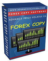 Forex copy box.jpg