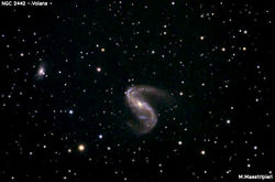ngc 2442_volans1