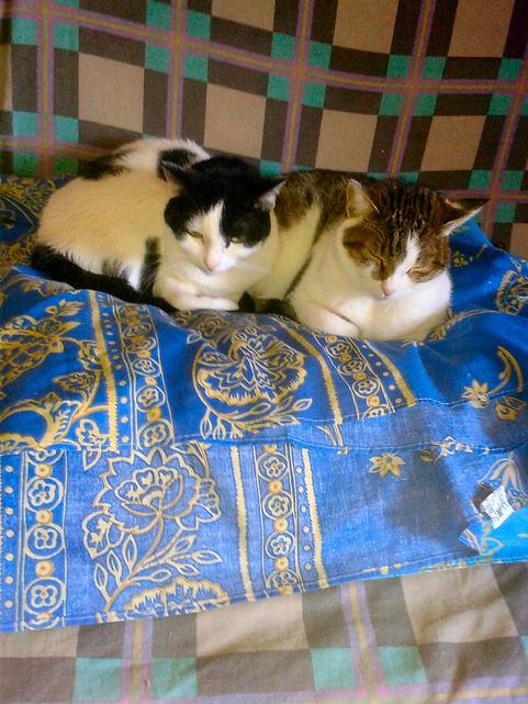 Cloe & Fiera_01_1913x2551.jpg