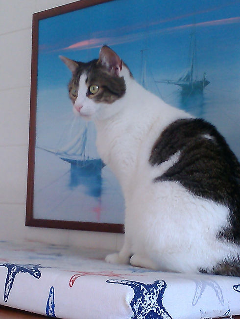 Cloe_1944x2592.jpg