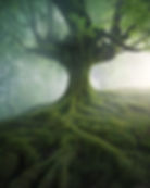 ree