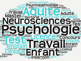 Aperçu de mes outils psychologiques pour traiter vos problématiques