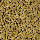 Nawrocki-Pelleting-Technology-PEL_Feeds.