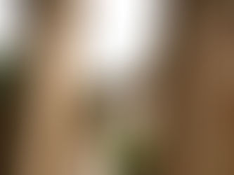 ERISA 3(21) vs. 3(38) Fiduciary Advisors