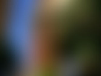 Non-qualified Deferred Compensation 457(b) and 457(f) Plans for Non-Profit Organizations