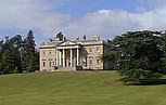 f88213537.jpg