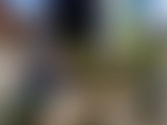 Semana da Árvore incentiva plantio de espécies nativas em Gramado