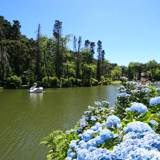 Observatório do Turismo de Gramado: Gramado deve receber 1,5 milhão de visitantes únicos durante os feriados de 2026