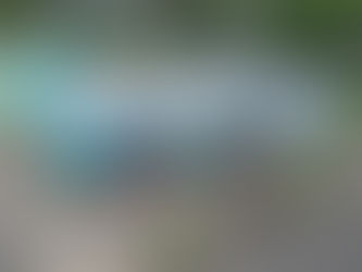 Canela promove o 1º Fórum Ecocidadania e convida escolas a participarem